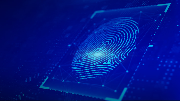 What is Identity and Access Management (IAM)? Why is it Important?